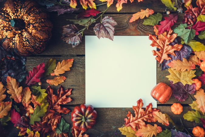 Autumn leaves and squash with paper card note