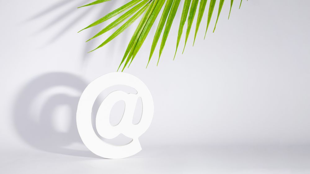 Internet “at” symbol under palm leaf