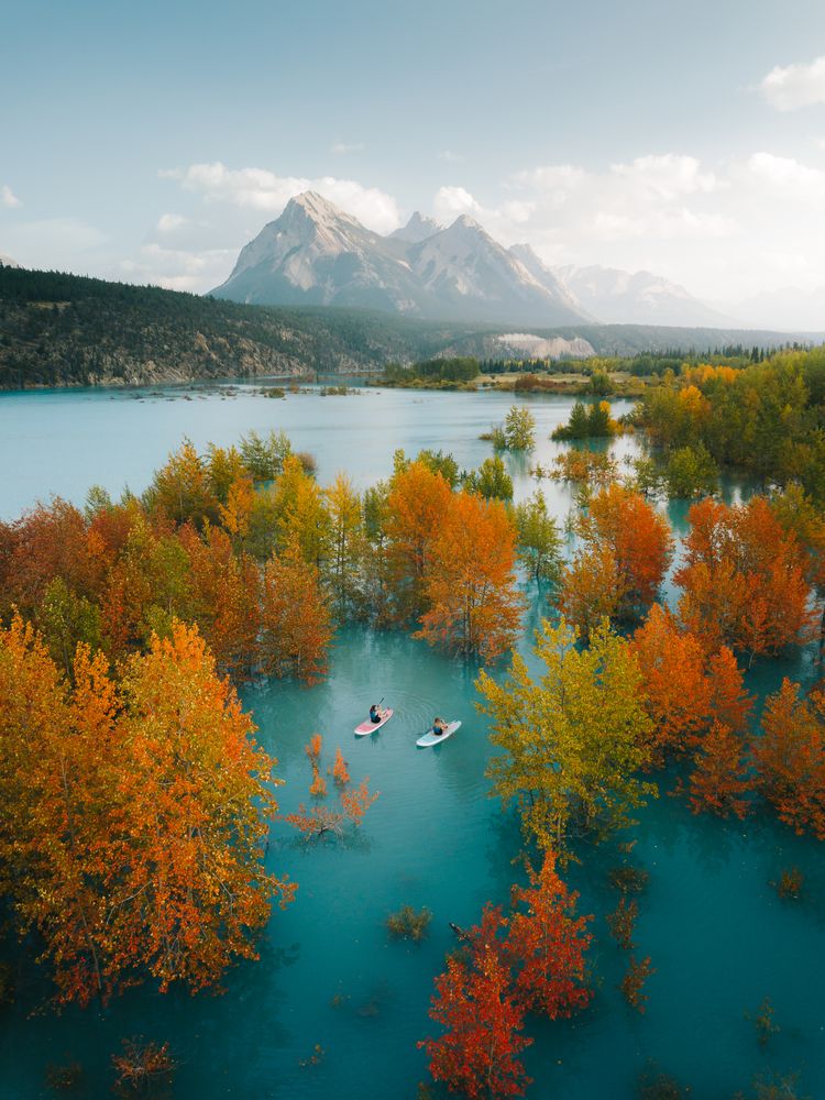 Green and brown trees near lake and snow covered mountain