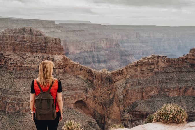 Calm female looking at pictorial landscape