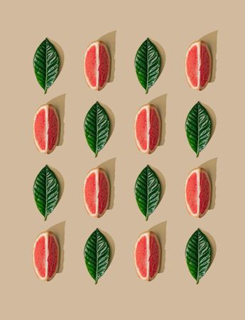Pattern of green leaves and grapefruit slices on  pastel sand background