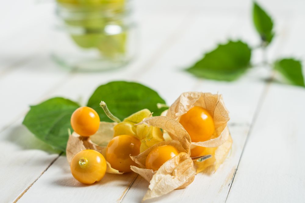 Physalis fruit (Physalis peruviana) also called uchuva, cape gooseberry or gold berries, native of Peru, on a wooden board