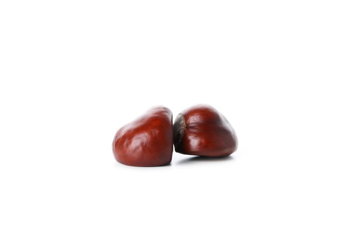 Fresh and ripe chestnuts, isolated on plain background