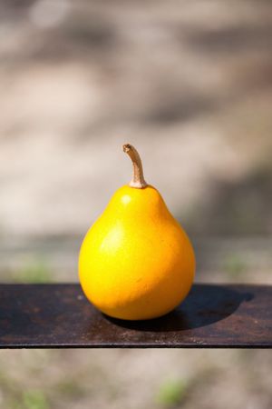 Small pear on a metal plate