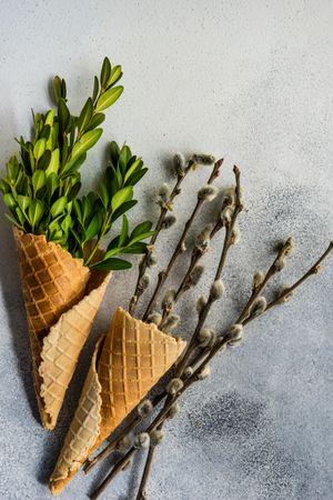 Top view of Easter card concept with different branches in waffle cone