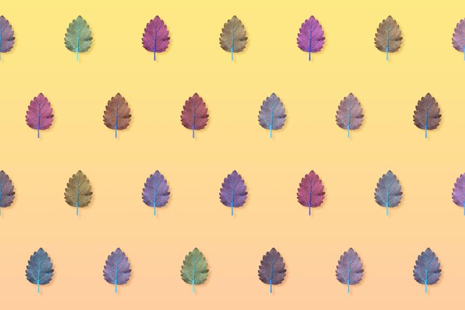 Pattern of multi-colored leaves