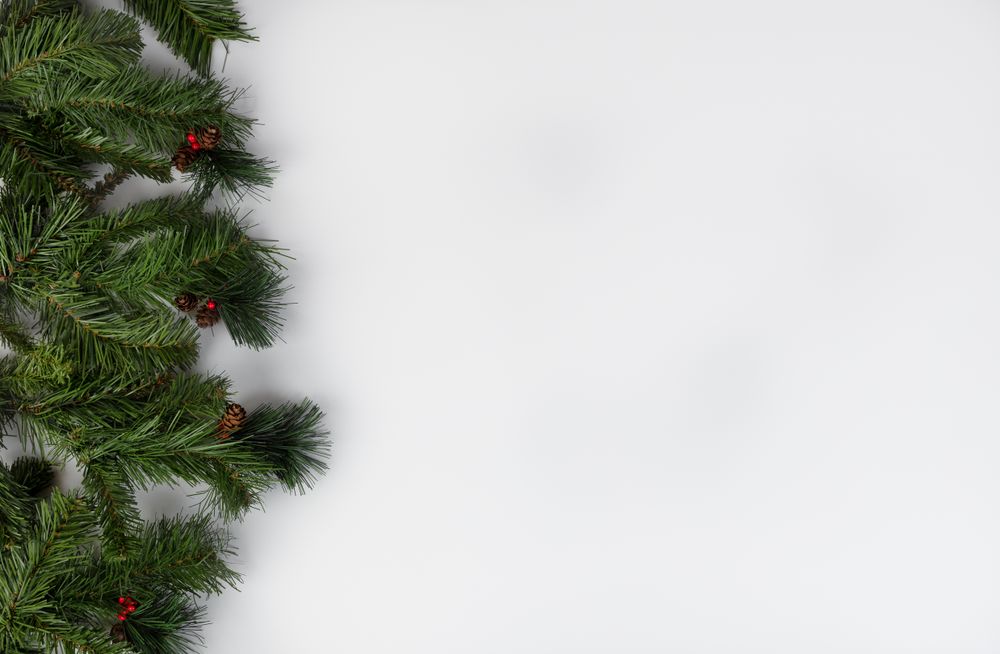Fir tree branches on for a merry Christmas or happy New Year holiday celebration concept