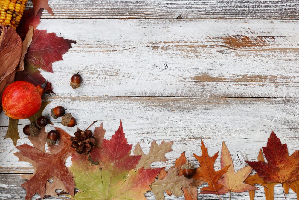 Left side border of autumn decorations on rustic wooden boards