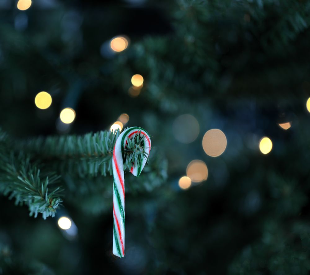 Traditional artificial Christmas tree with candy cane and lights glowing
