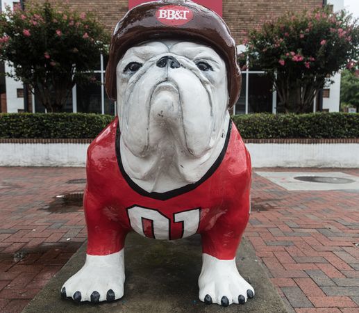Bulldog mascot statue at University of Georgia