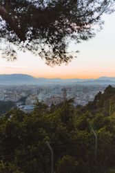 View of city and sea from hill