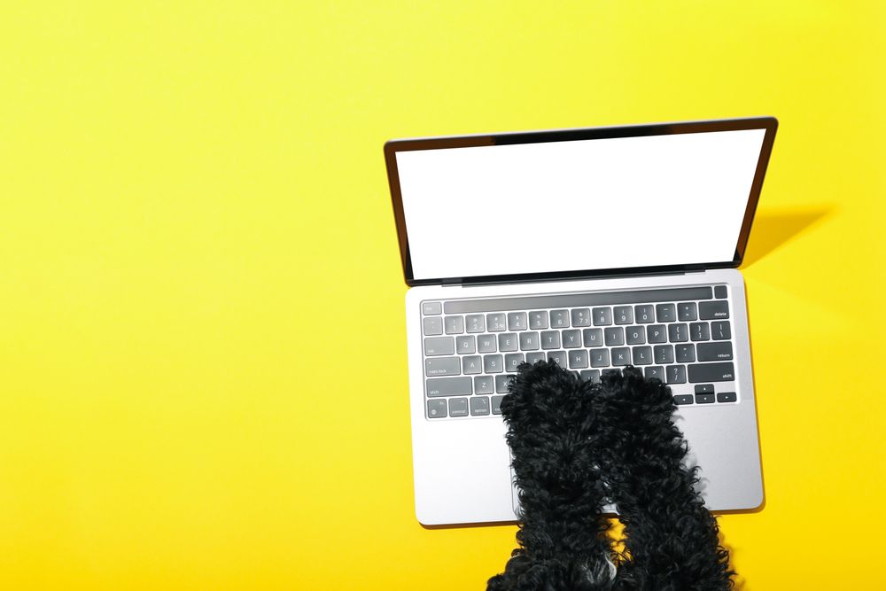 Dog using laptop with mockup screen with copy space