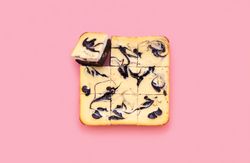 Cheesecake brownie above view isolated on a pink background