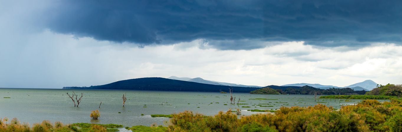 Lake Naivasha Nakuru City County Kenya East Africa Landscapes