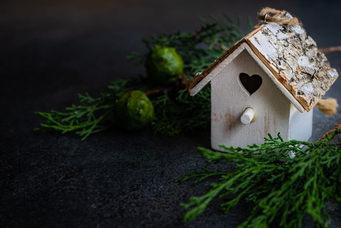 Bird house ornament surrounded by branch