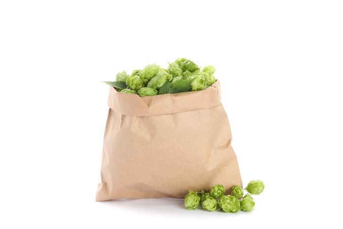 Paper bag with hop isolated on plain background
