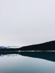 Trees lining Lake Louise in the Canadian Rockies