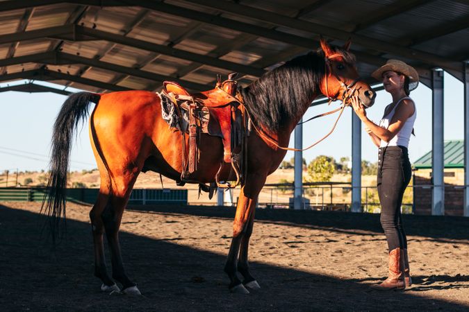 Woman taking care of his brown horse in an equestrian center