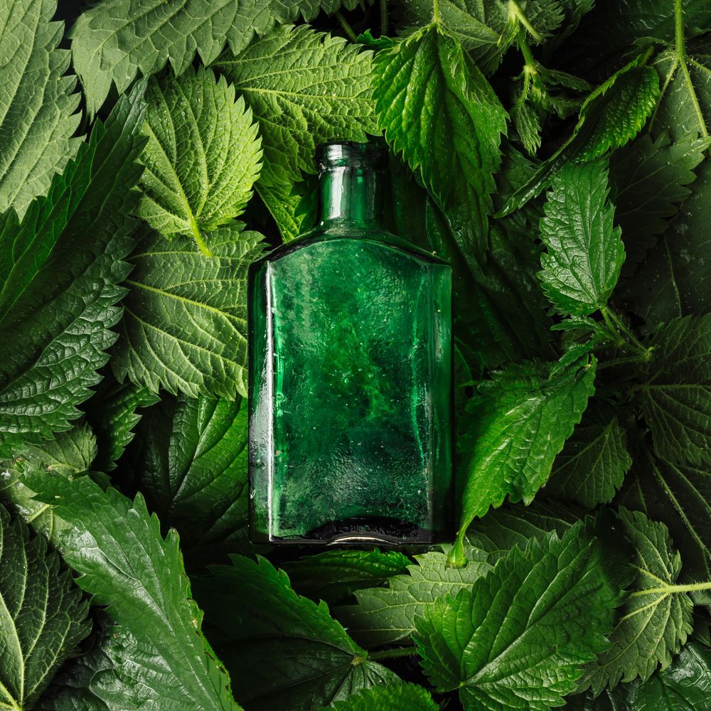 Nettle leaves surrounding glass bottle