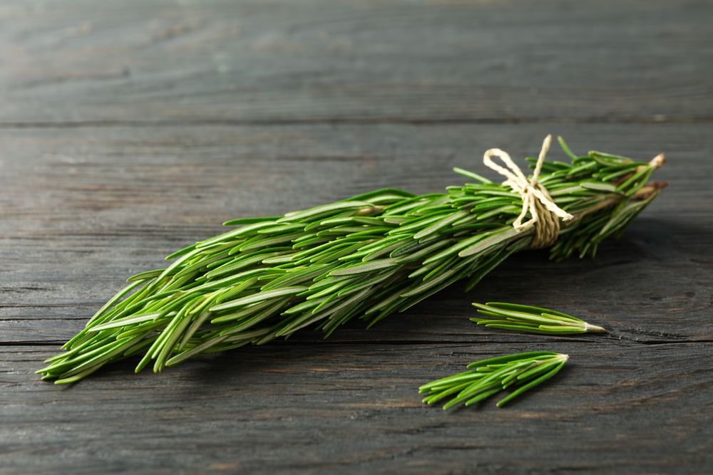 Green rosemary on wooden table, space for text
