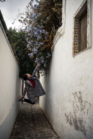 Joyful female tourist in casual wear amid city street