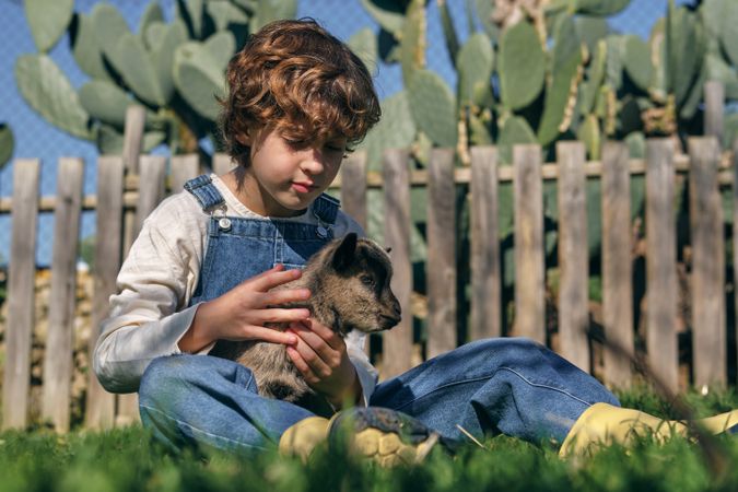 Calm kid stroking dwarf goat on lawn in village