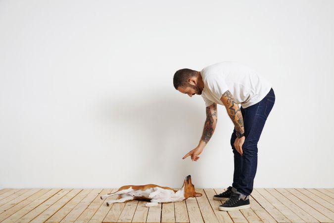 Casual, tattooed man teaching dog to roll over