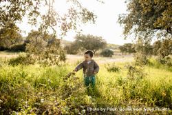 Young boy reaching towards a branch in a field 5q1JK5
