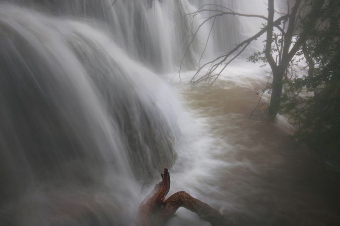 Wonderful waterfall near tree