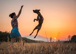 Female playing with dog at hilly area in evening