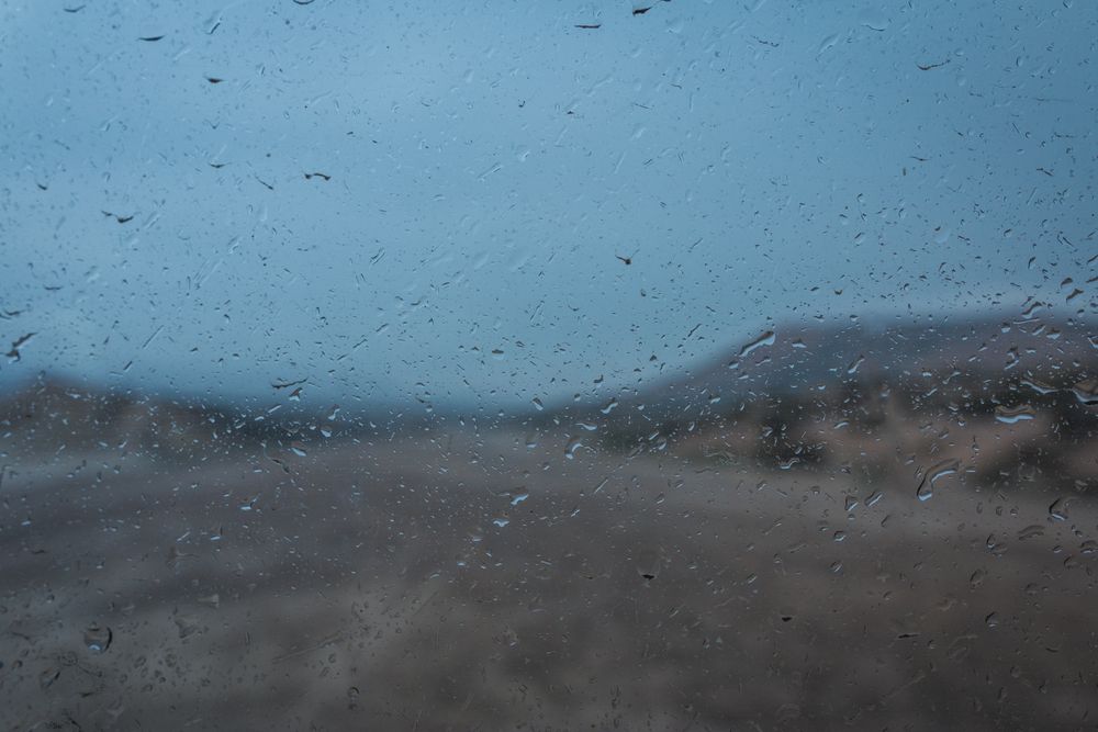 Desert gloomy landscape with green vegetation