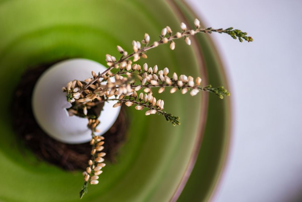 Top view of Easter table setting with decorative egg, with heather on green plate