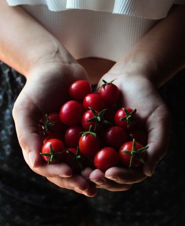 Shiny cherry tomatoes with green stems in hands
