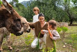 Joyful mother and kids stroking cute donkeys in farmland