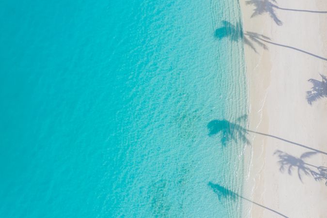 Palm tree shadows on tropical blue water