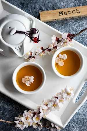 Spring floral concept with top view of apricot blossom surrounding cups full of green tea