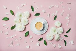 Spring morning concept