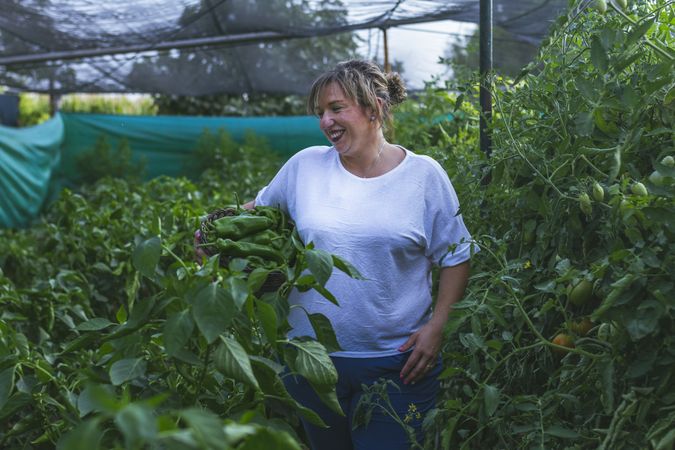 Gardener in apron harvesting vegetables from bushes in basket