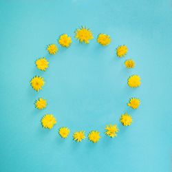 Pattern of yellow spring flowers in circle shape