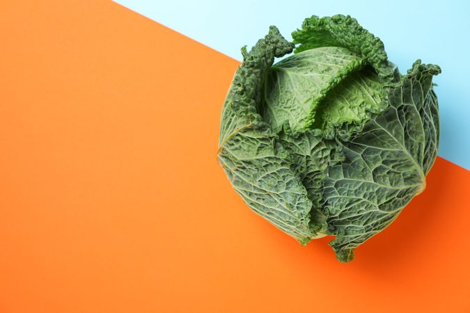 Fresh cabbage on two tone background, copy space