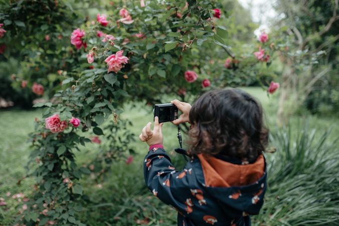 Little girl taking photos of roses
