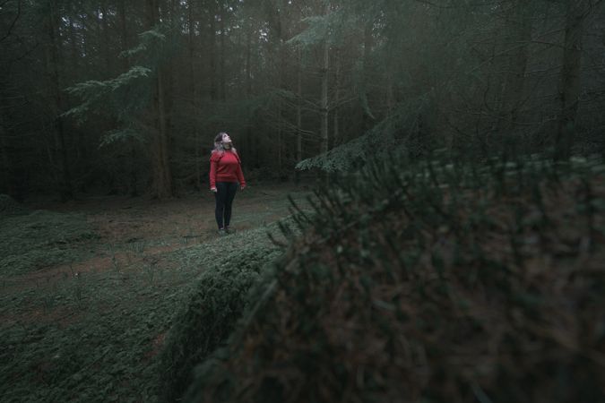 Tourist walking in forest park