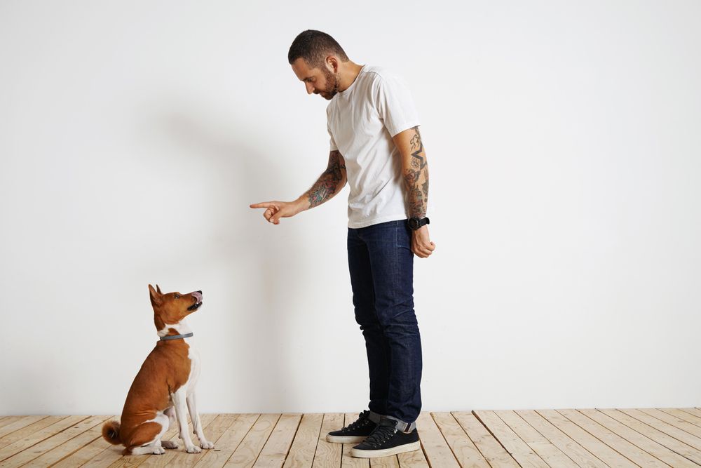 Casual, tattooed man training dog