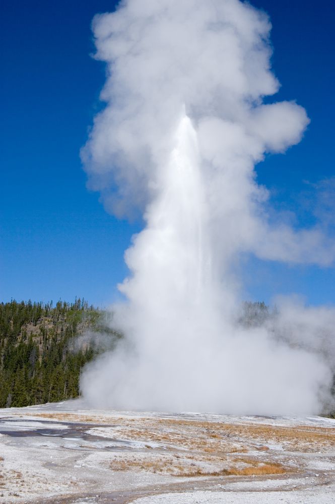 Old Faithful Geyser at Yellowstone National Park