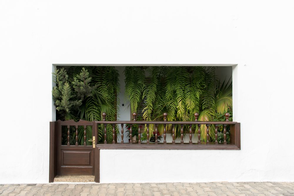 Green plants inside white house