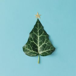 Winter star topped Christmas Tree on blue background with snowflakes