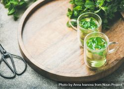 Mint tea with fresh mint leaves on wooden tray, with scissors, square crop with copy space 5akg8b