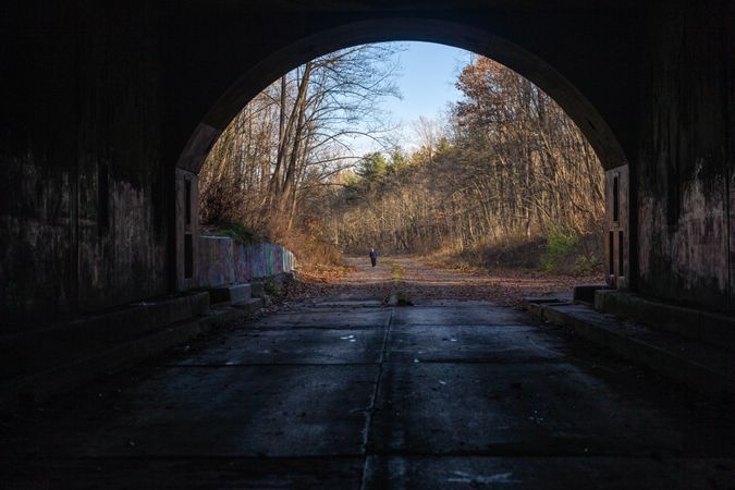 End of tunnel with grafitti going into forest