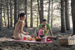 Happy family with a young child enjoying a healthy picnic on a blanket in a pine forest.