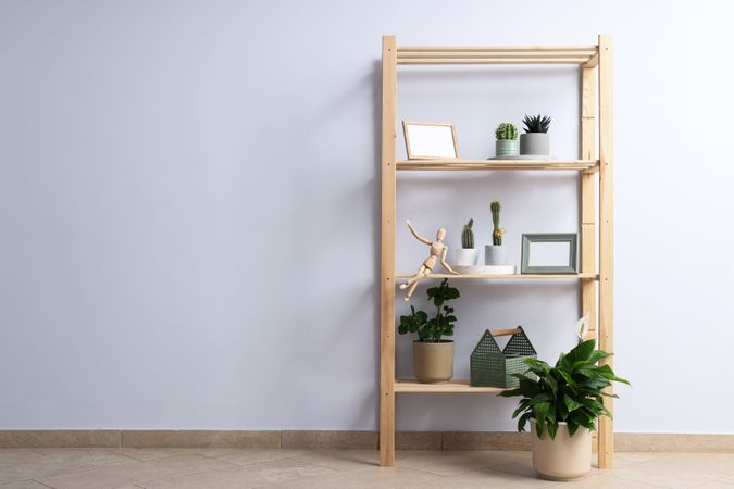 Cozy hobby - growing indoor plants at home